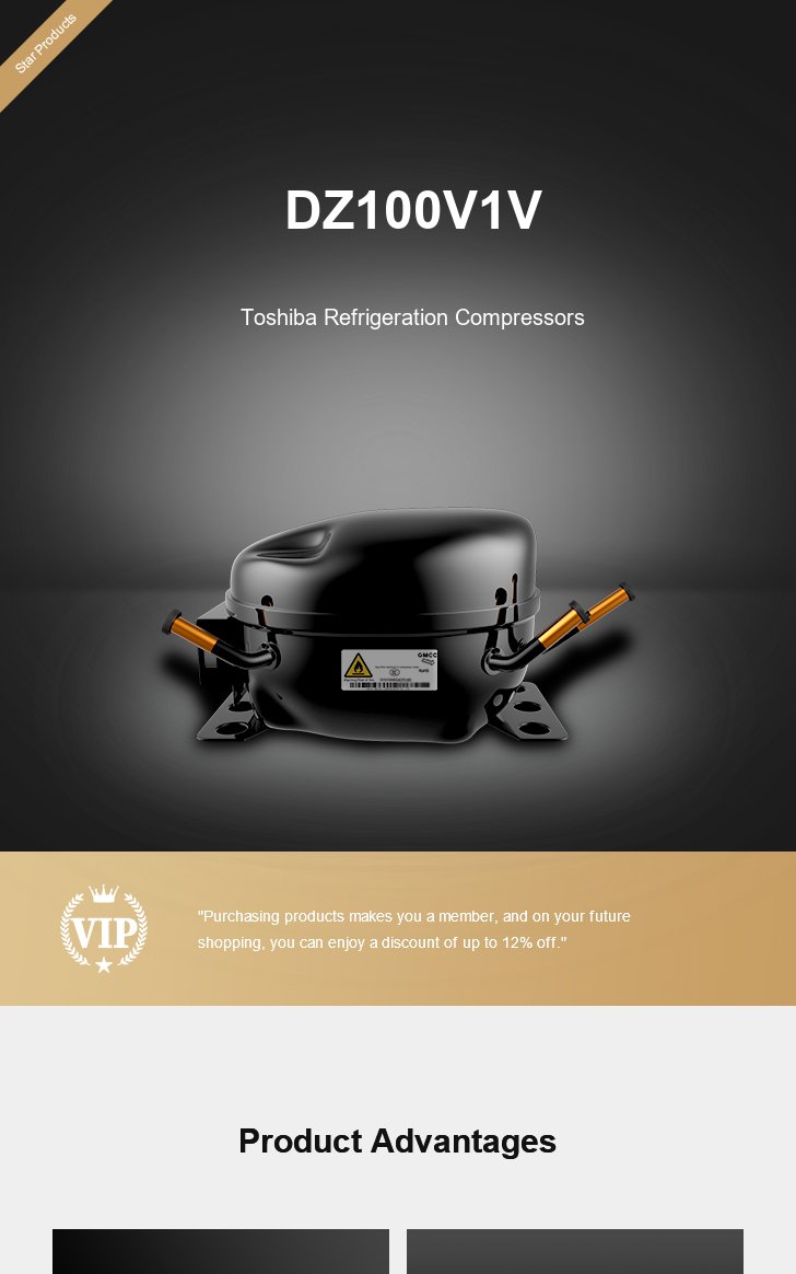Toshiba Compressor DZ100V1V, technical parameters pdf, structure diagram
